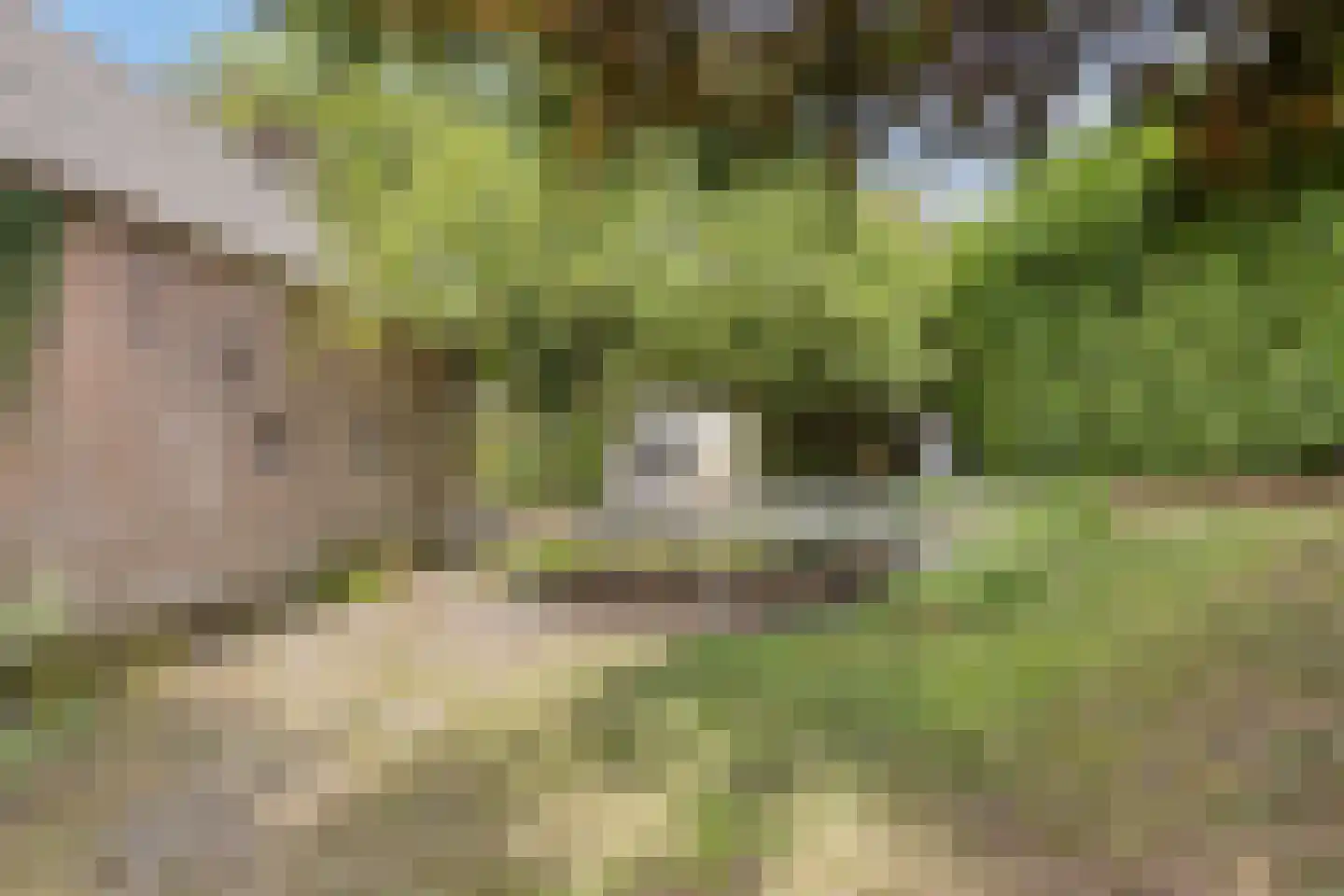 Oosterstraat 1 Dinteloord thumbnail 37