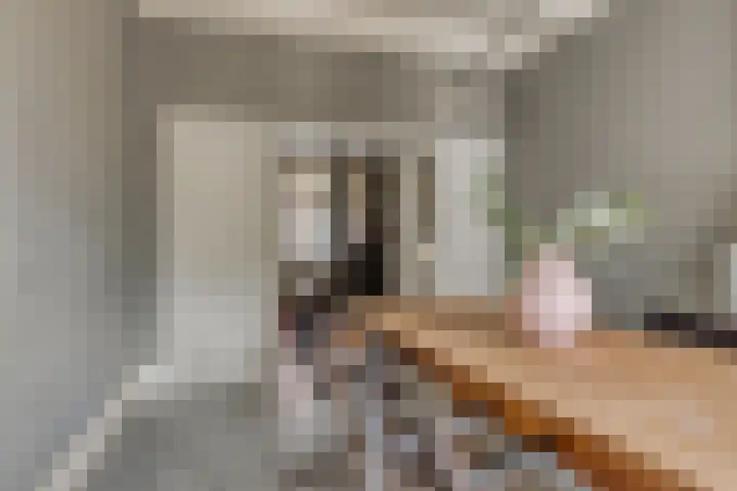 Oosterstraat 1 Dinteloord thumbnail 9