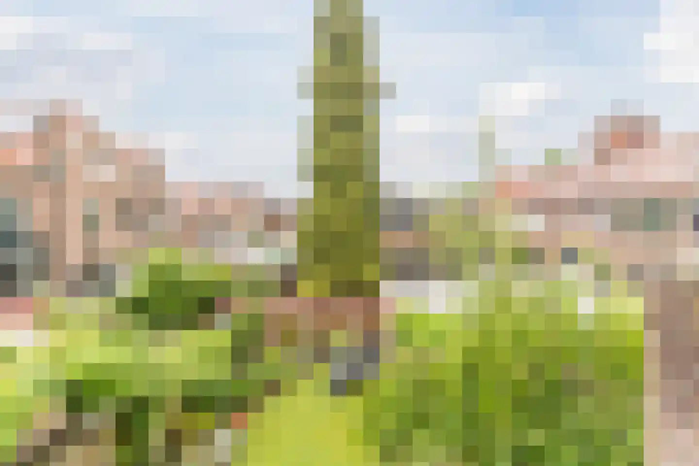 Oosterstraat 1 Gorinchem thumbnail 15