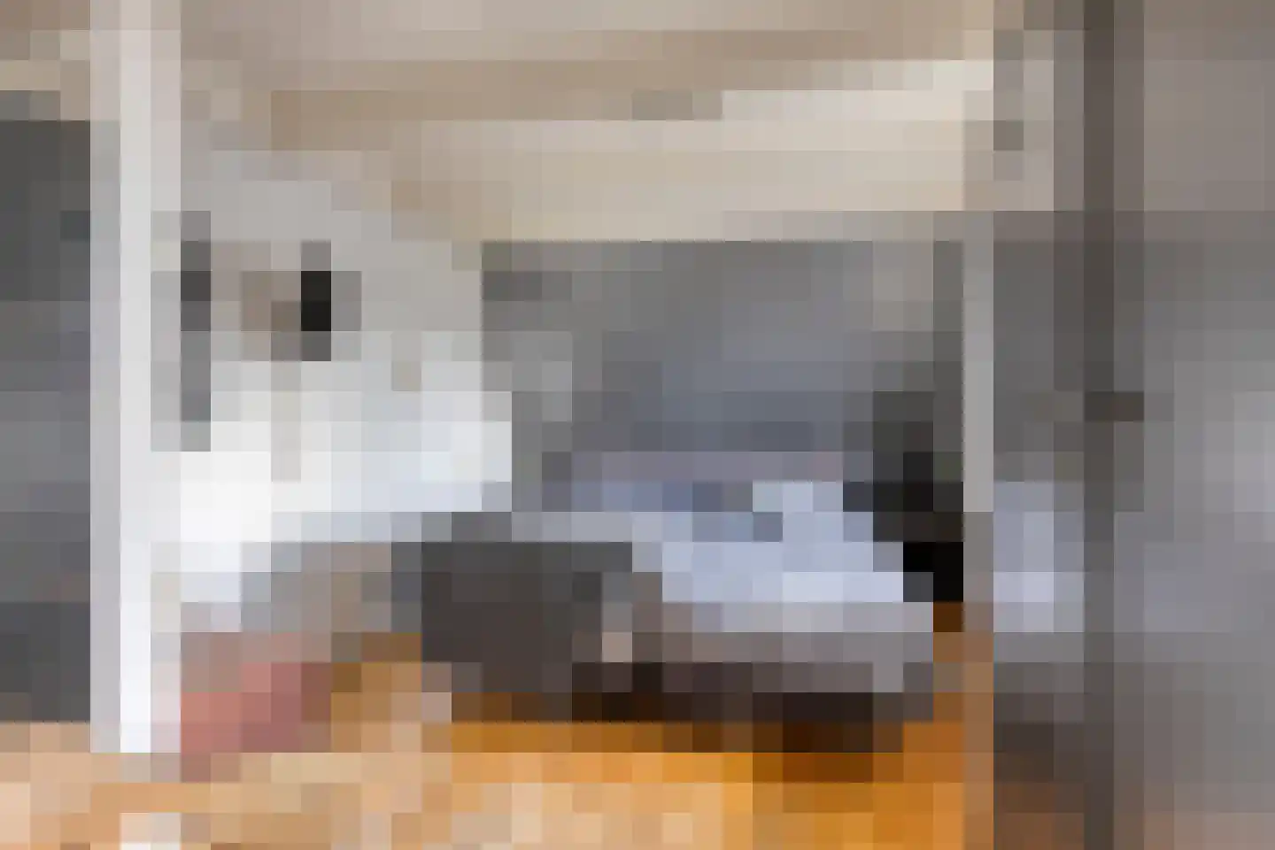 Oosterstraat 1 Joure thumbnail 13