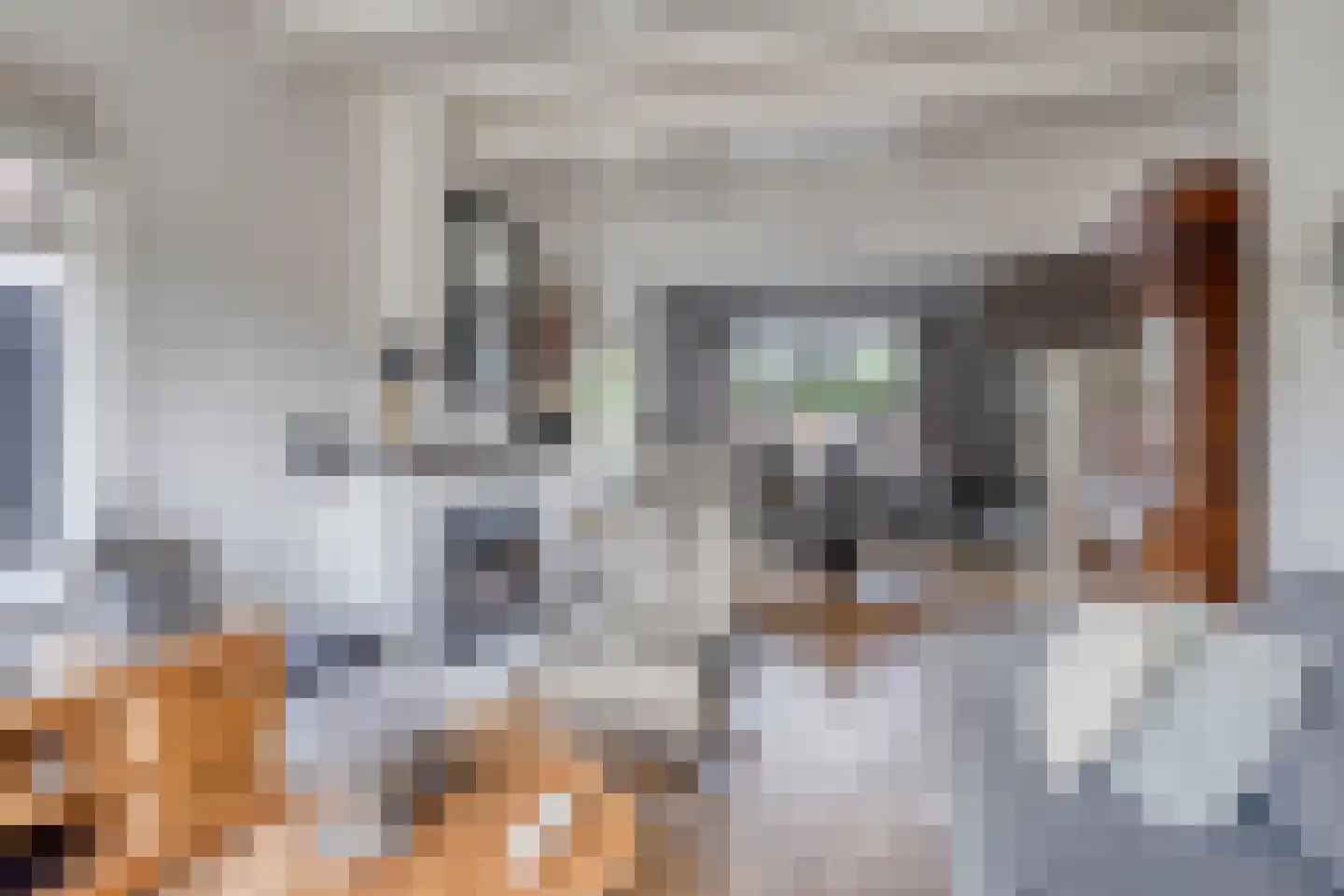Oosterstraat 1 Joure thumbnail 4