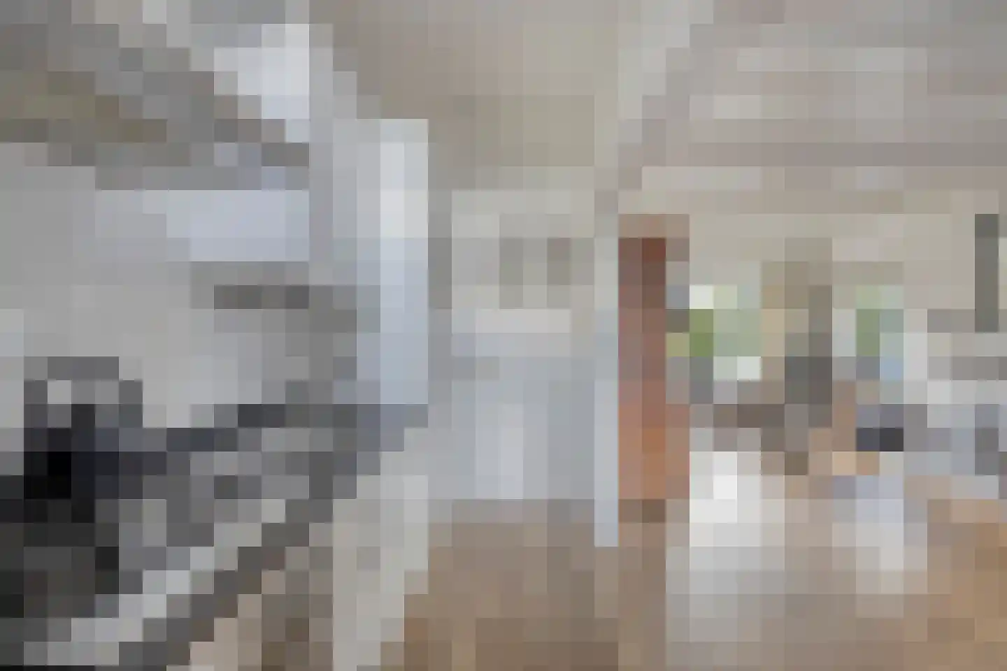 Oosterstraat 1 Joure thumbnail 8