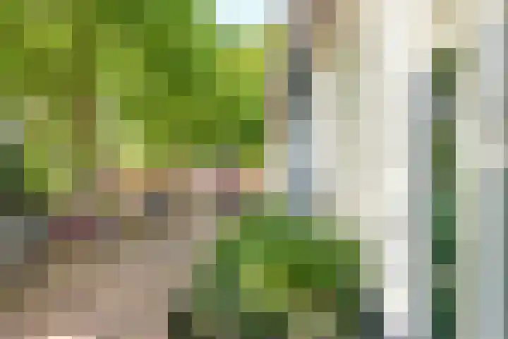 Oosterstraat 1 Utrecht thumbnail 6