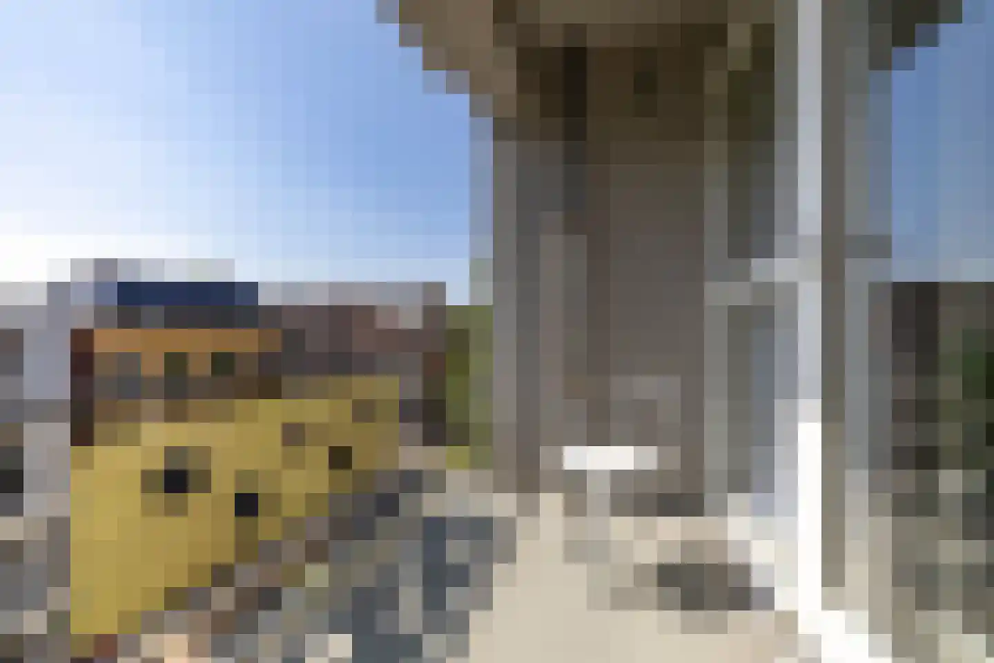 Oosterstraat 102 Groningen thumbnail 17
