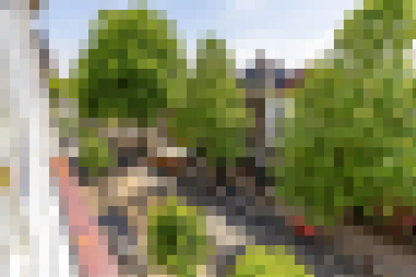 Oosterstraat 102 Groningen thumbnail 20
