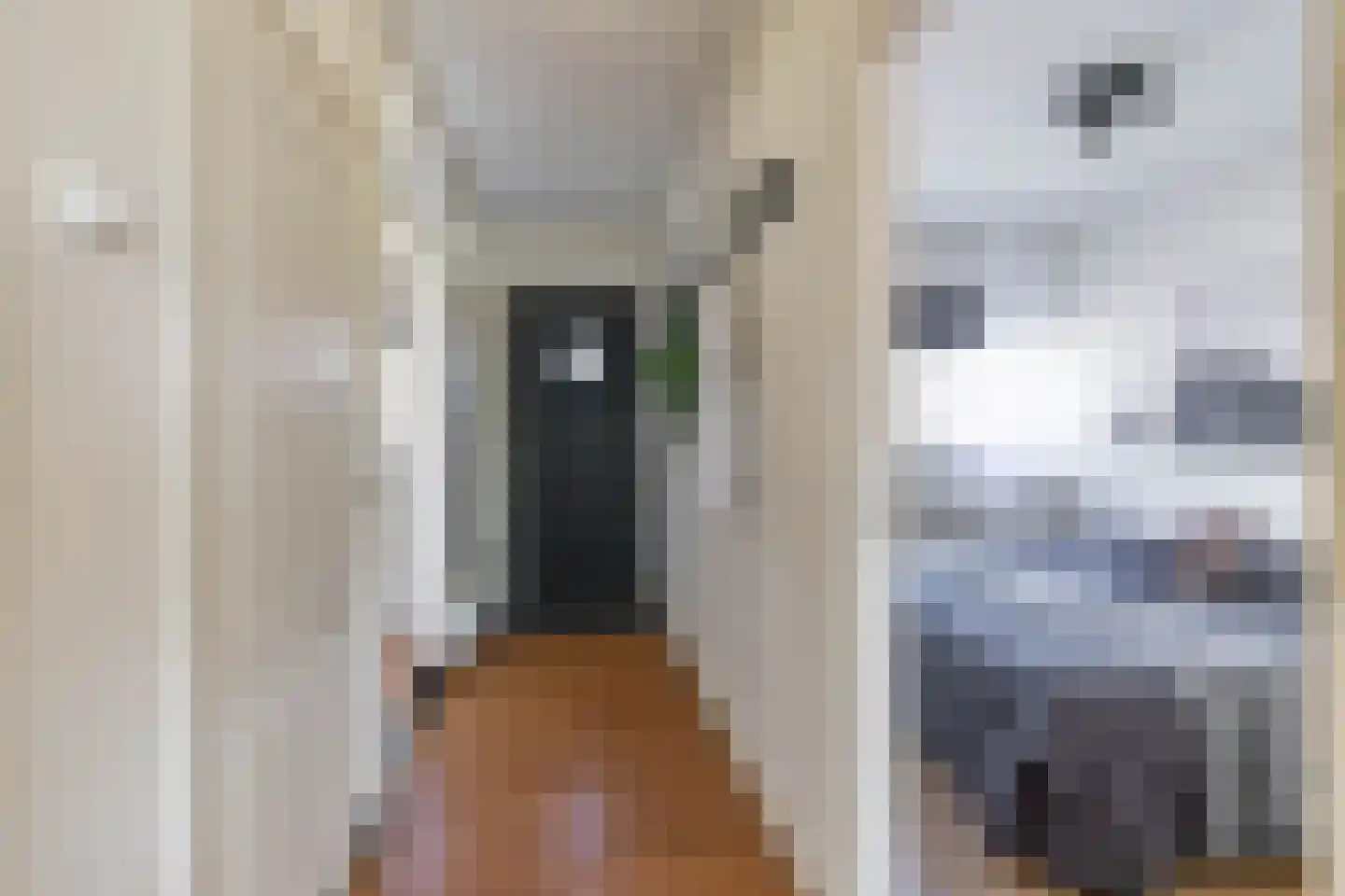 Oosterstraat 102 Groningen thumbnail 24