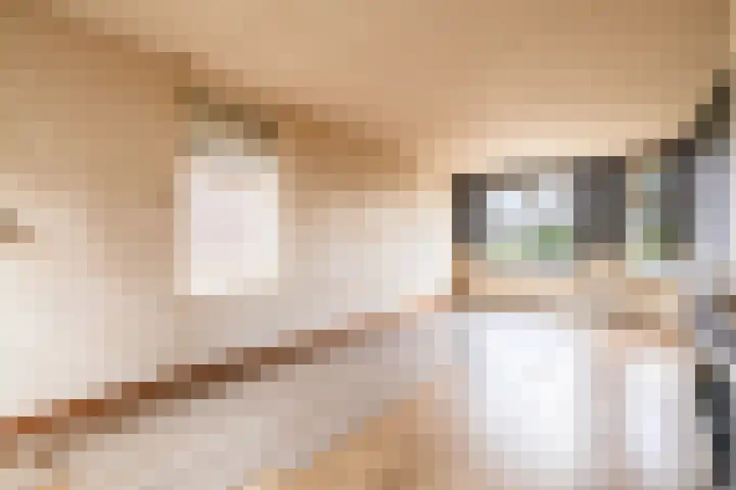 Oosterstraat 12 Beilen thumbnail 13