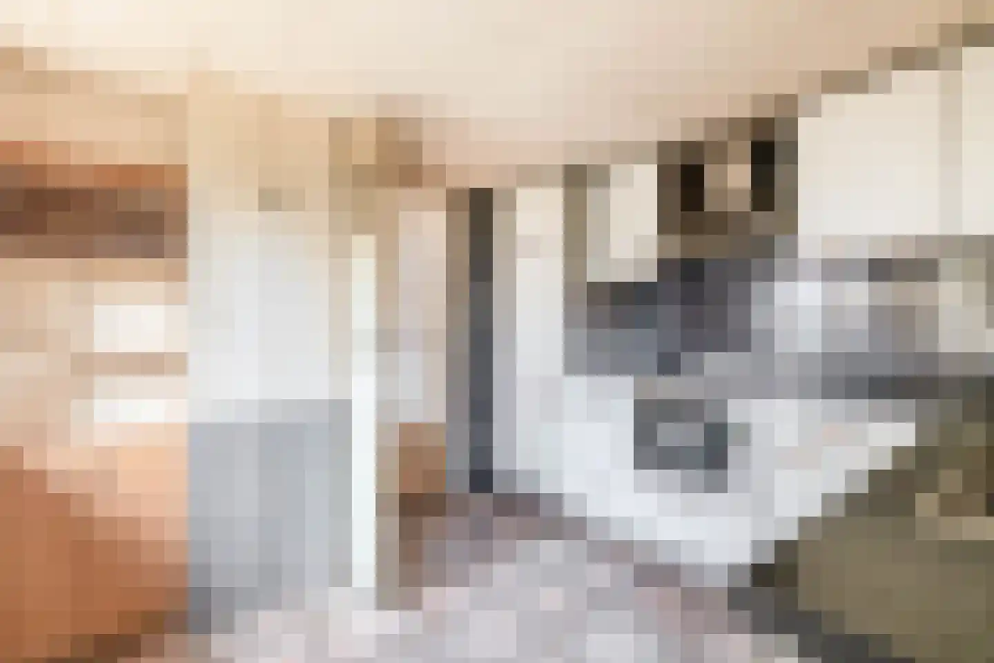 Oosterstraat 12 Beilen thumbnail 16