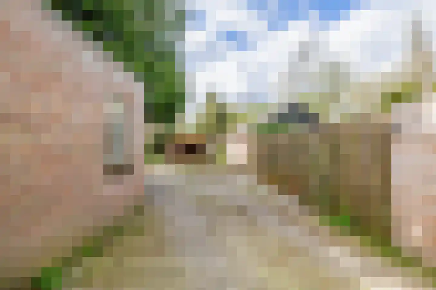 Oosterstraat 12 Beilen thumbnail 34