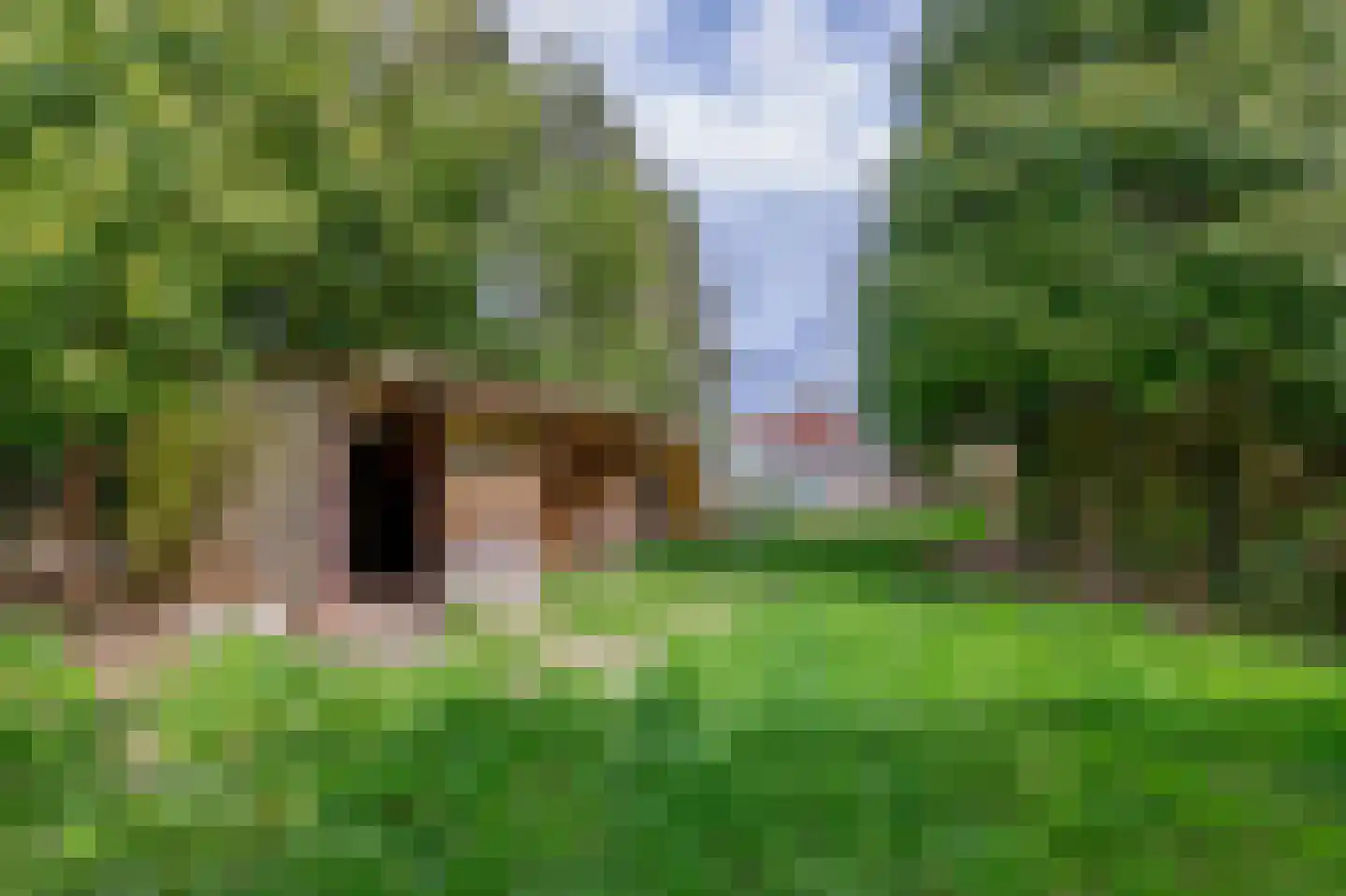 Oosterstraat 12 Beilen thumbnail 44