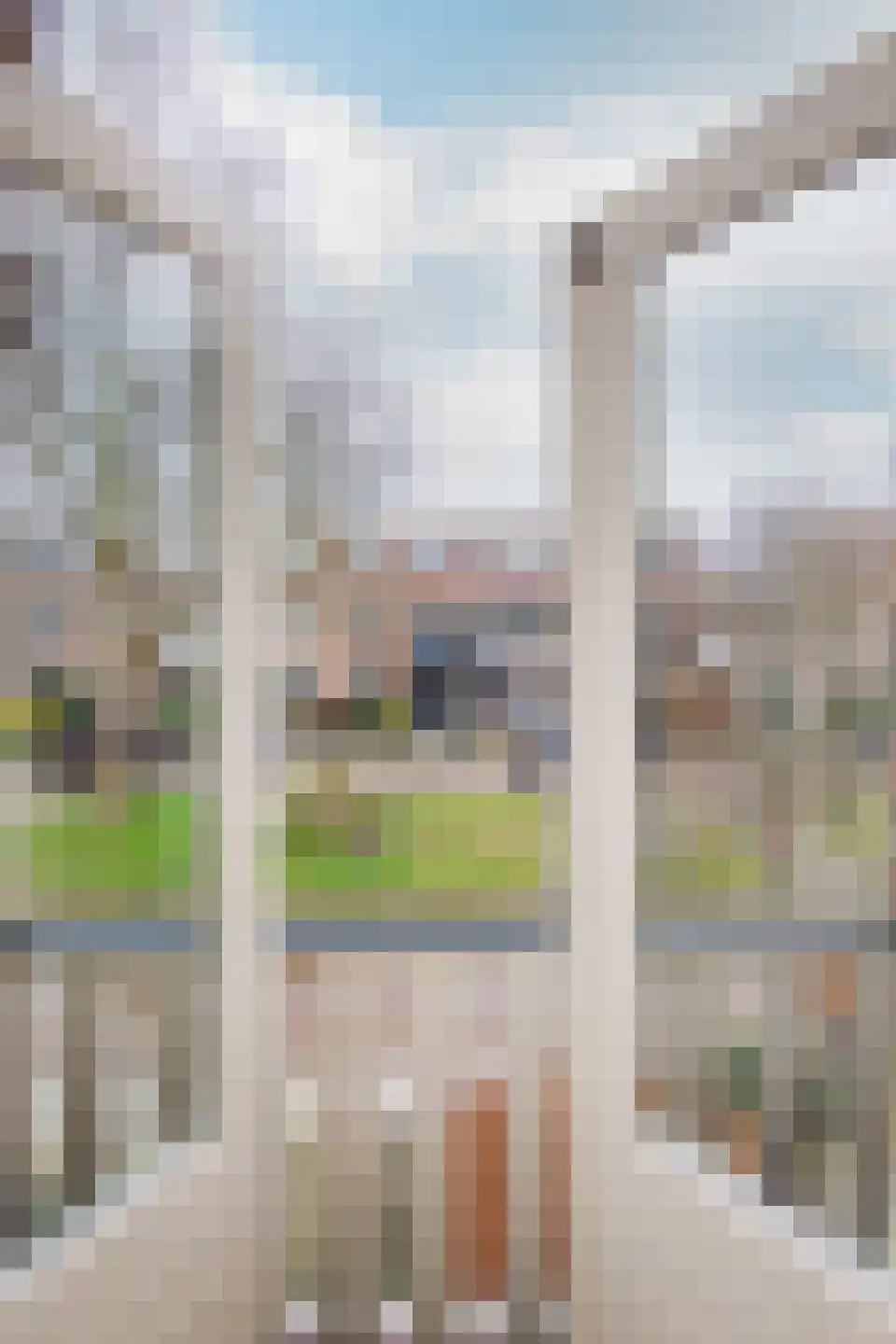 Oosterstraat 12 Haarlem thumbnail 33