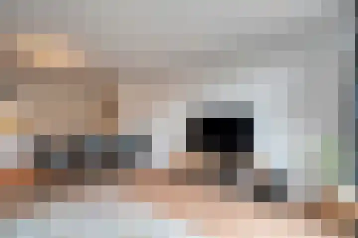 Oosterstraat 15 Zwolle thumbnail 11