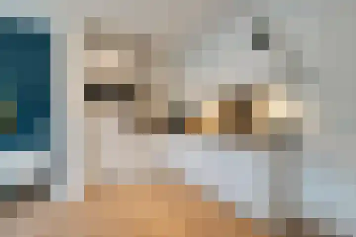 Oosterstraat 15 Zwolle thumbnail 12