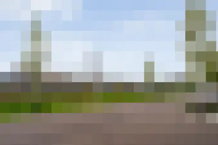 Oosterstraat 15 Zwolle thumbnail 21