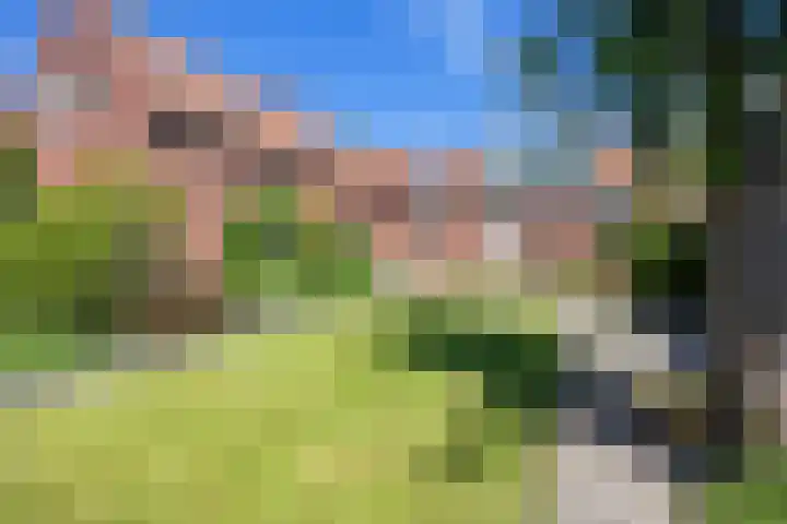 Oosterstraat 16 Winsum thumbnail 5