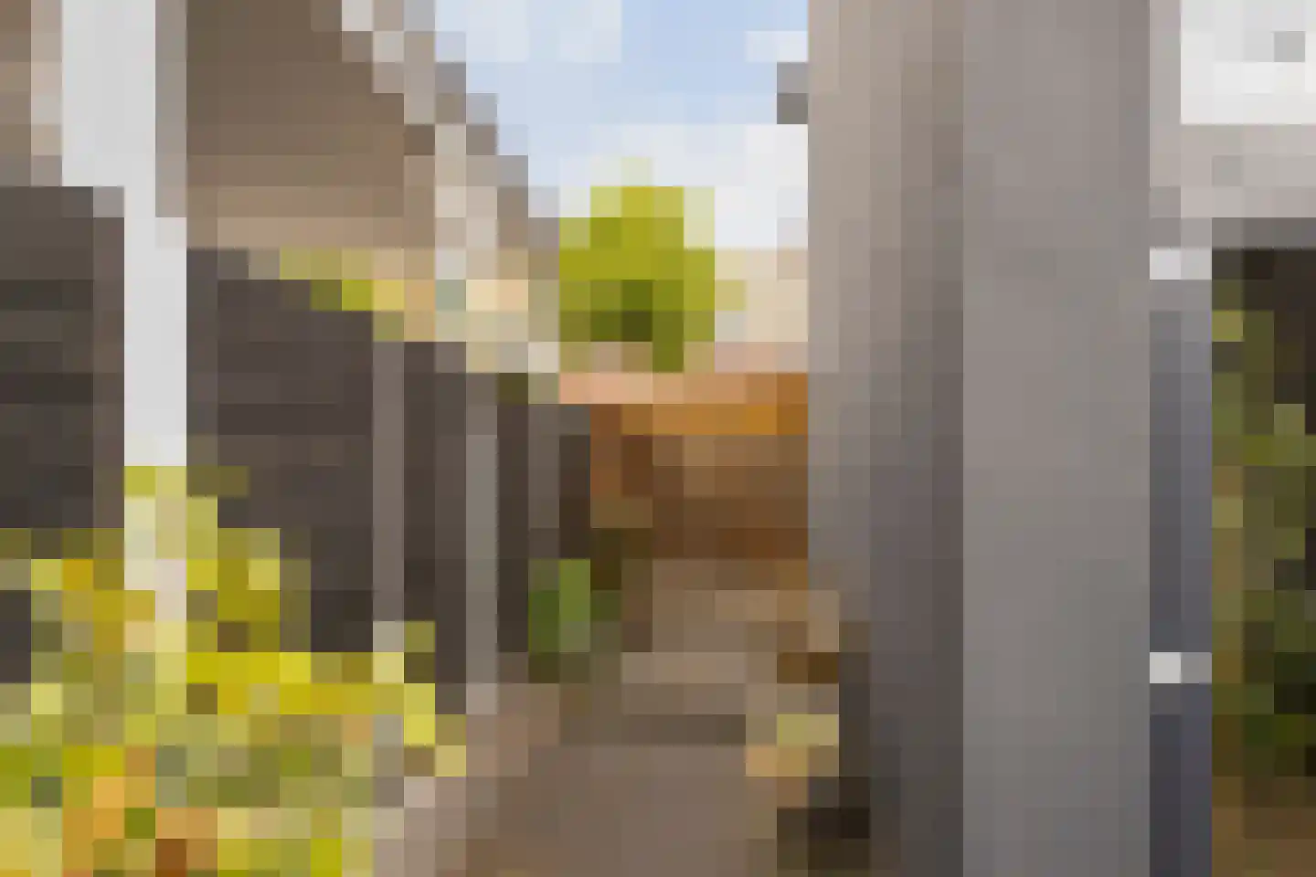 Oosterstraat 17 Breda thumbnail 34