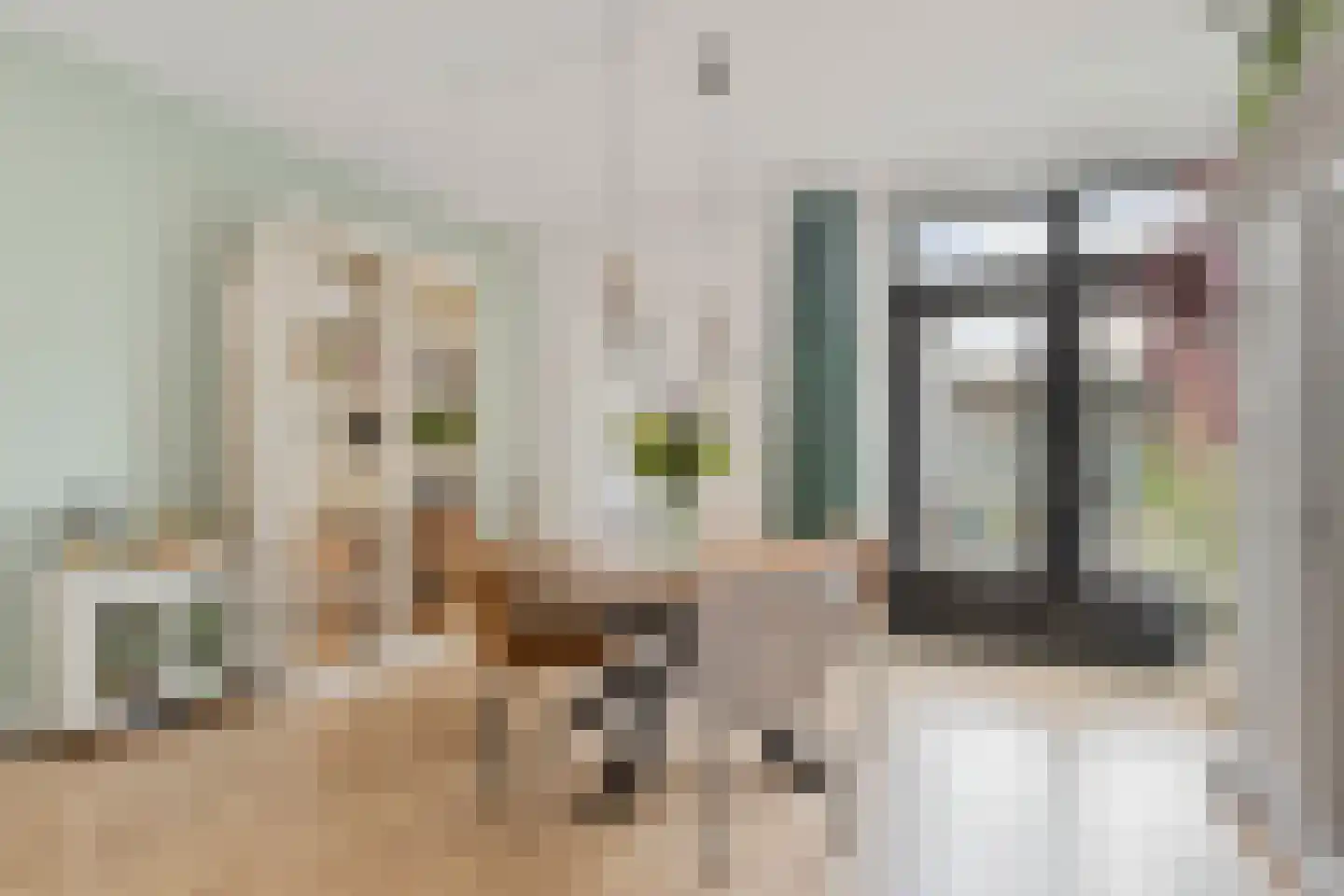 Oosterstraat 17 Breda thumbnail 9