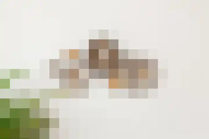 Oosterstraat 18 A Vlaardingen thumbnail 15