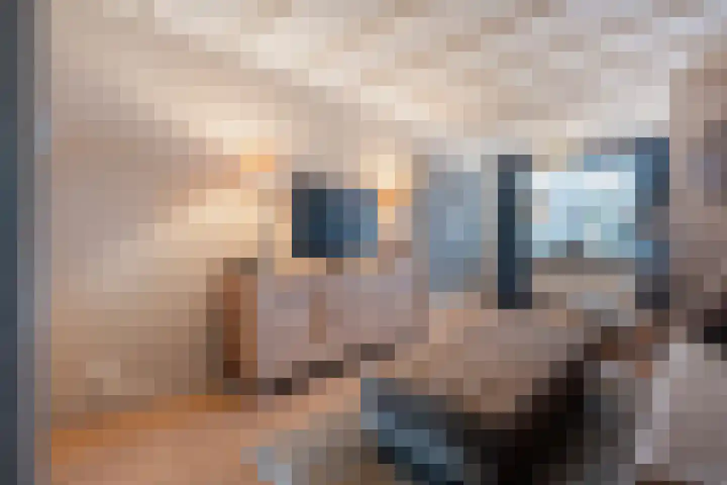 Oosterstraat 18 Coevorden thumbnail 11