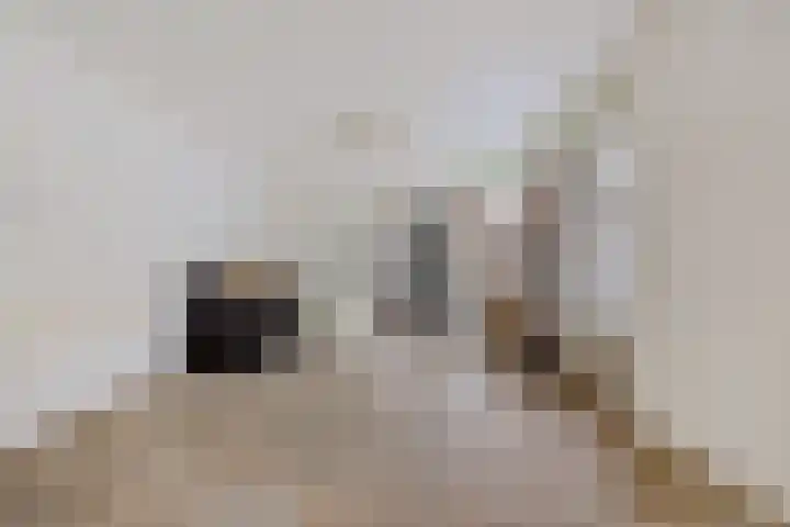 Oosterstraat 19 Ter Apel thumbnail 11