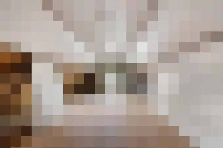 Oosterstraat 19 Ter Apel thumbnail 31