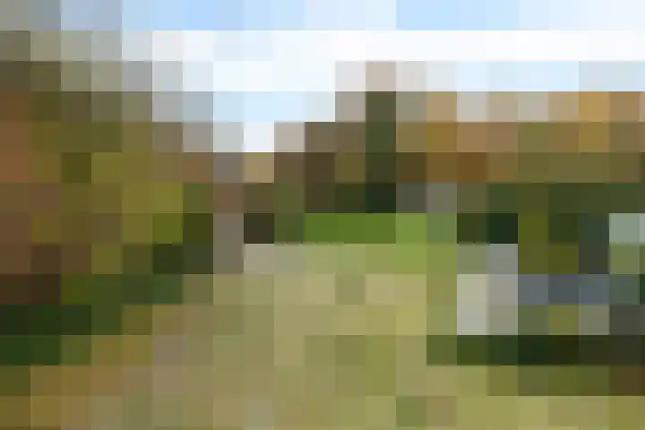 Oosterstraat 19 Ter Apel thumbnail 33