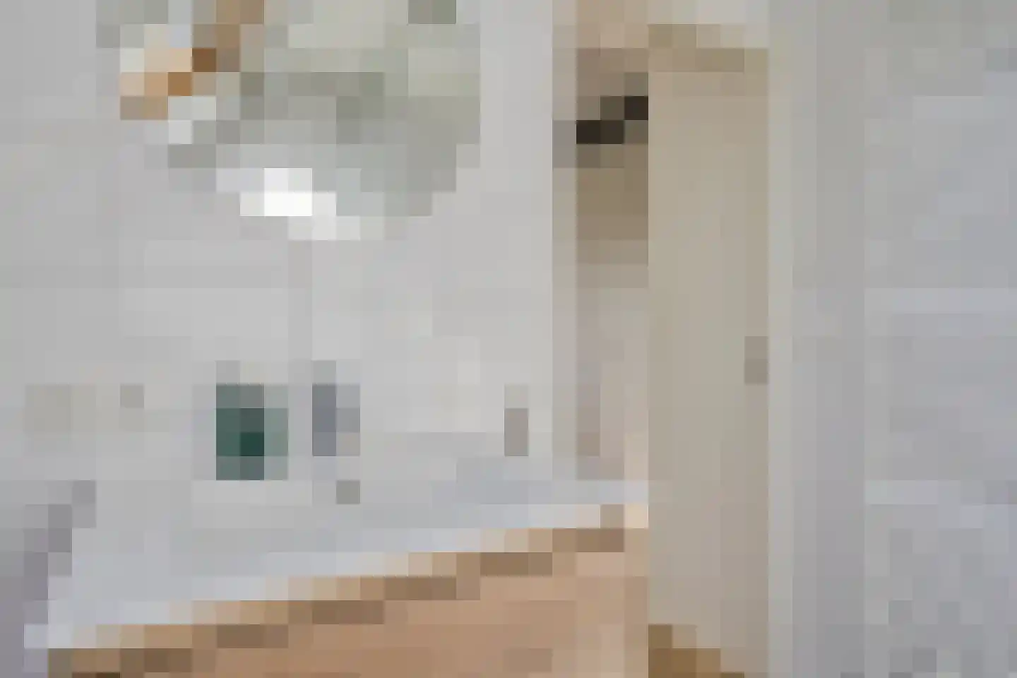 Oosterstraat 2 B Norg thumbnail 22