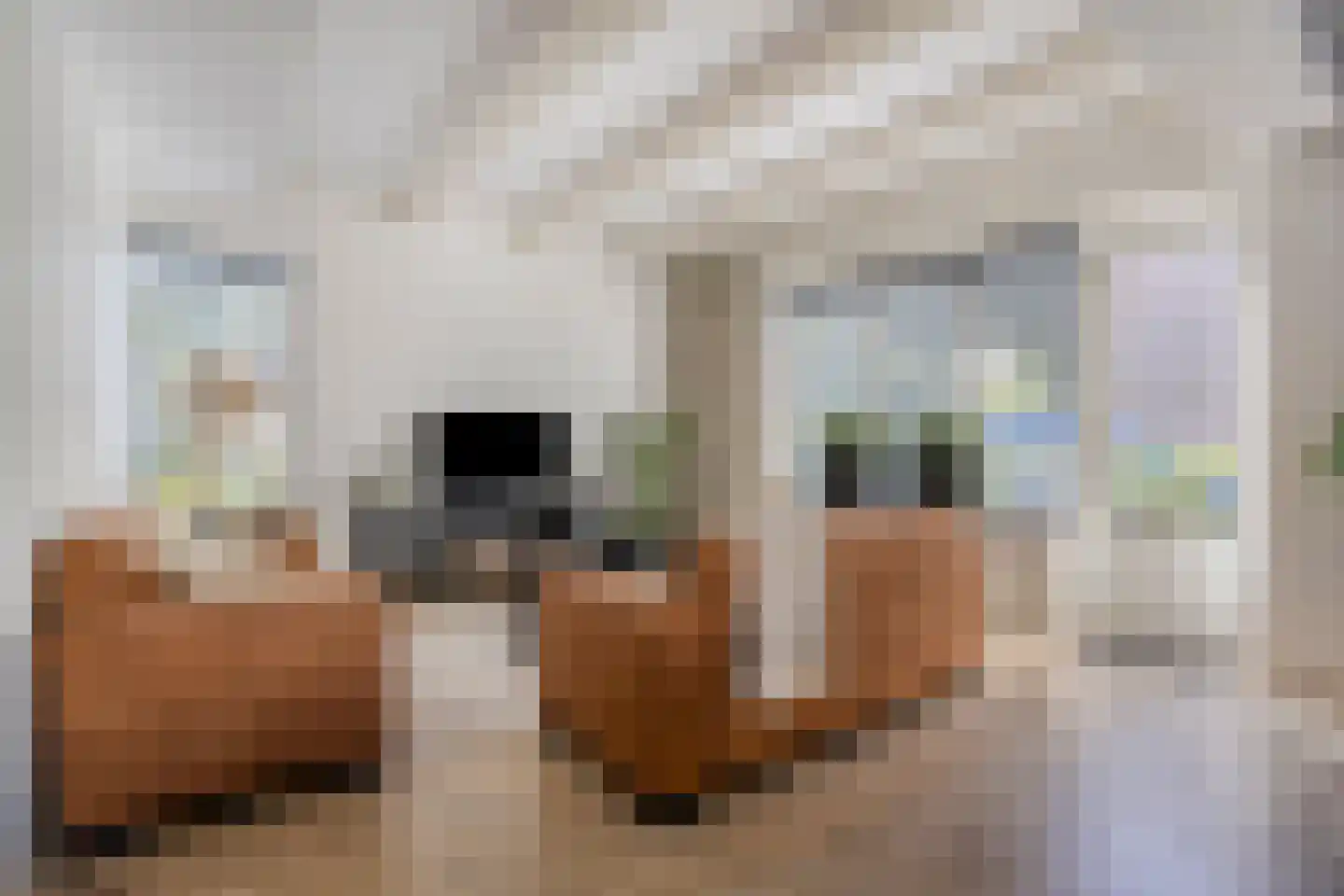 Oosterstraat 2 B Norg thumbnail 5