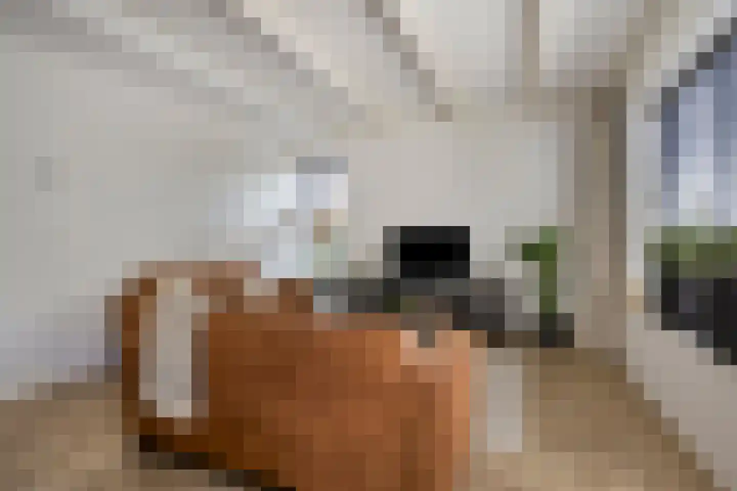 Oosterstraat 2 B Norg thumbnail 6