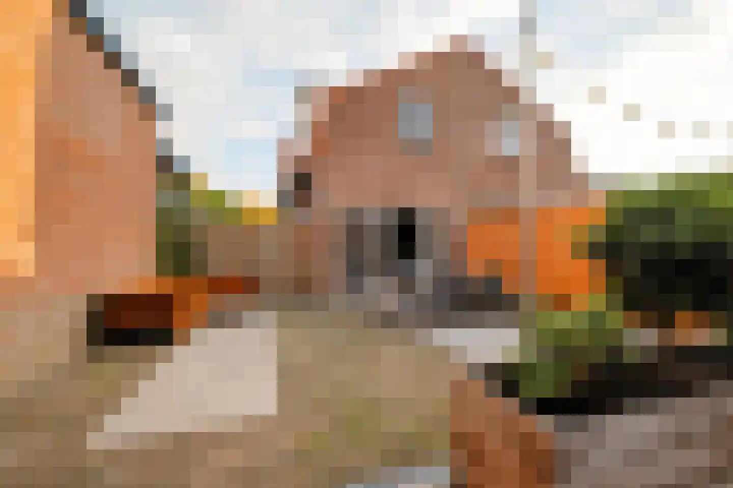 Oosterstraat 2 Driebergen-Rijsenburg thumbnail 24