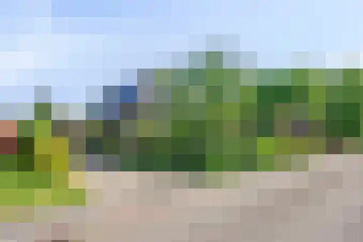 Oosterstraat 20 Sauwerd thumbnail 11