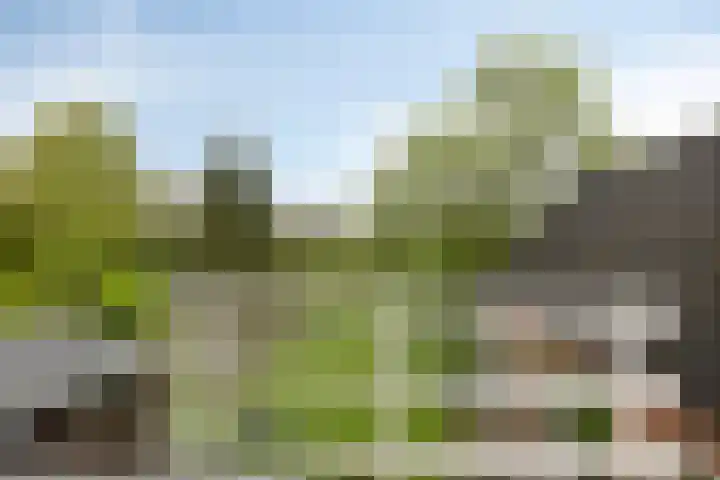 Oosterstraat 20 Sauwerd thumbnail 44