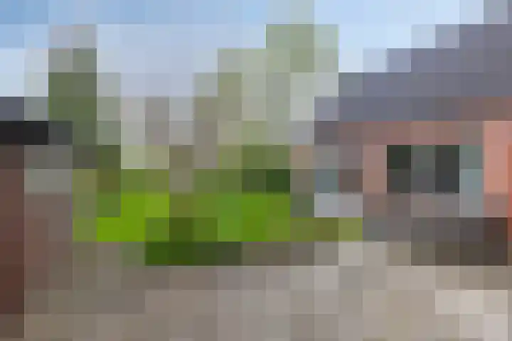 Oosterstraat 20 Sauwerd thumbnail 48