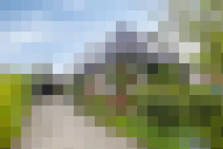 Oosterstraat 20 Sauwerd thumbnail 9