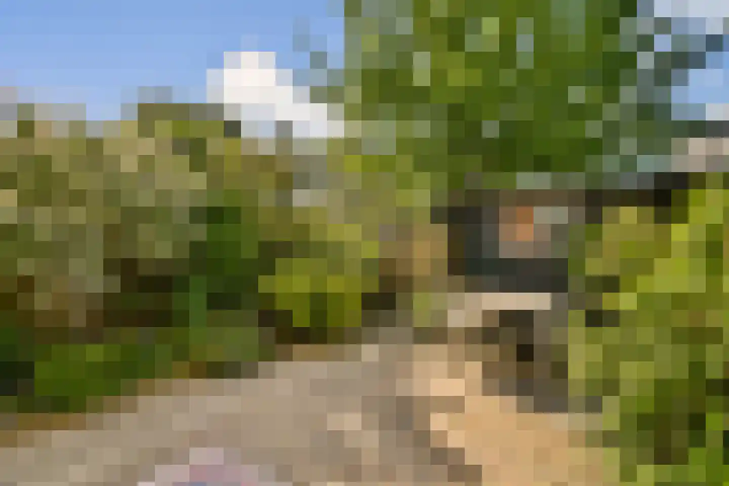 Oosterstraat 20 Vlaardingen thumbnail 17