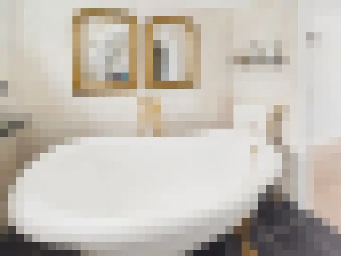 Oosterstraat 21 Dinteloord thumbnail 10