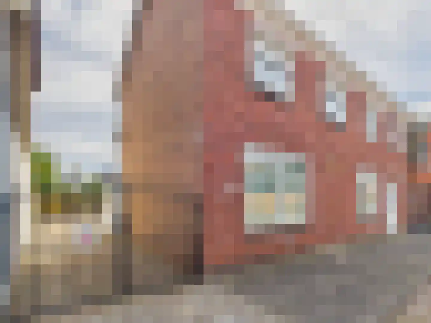 Oosterstraat 21 Dinteloord thumbnail 17