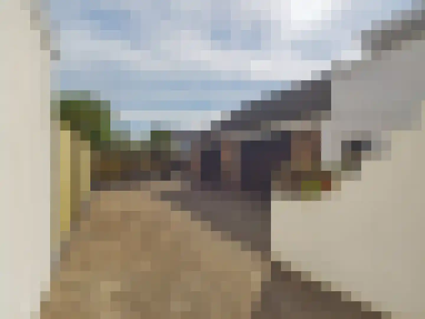 Oosterstraat 21 Dinteloord thumbnail 20