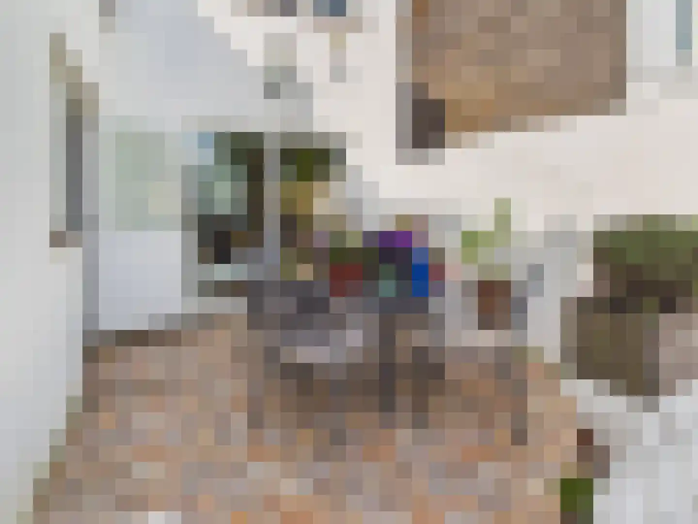 Oosterstraat 21 Dinteloord thumbnail 22