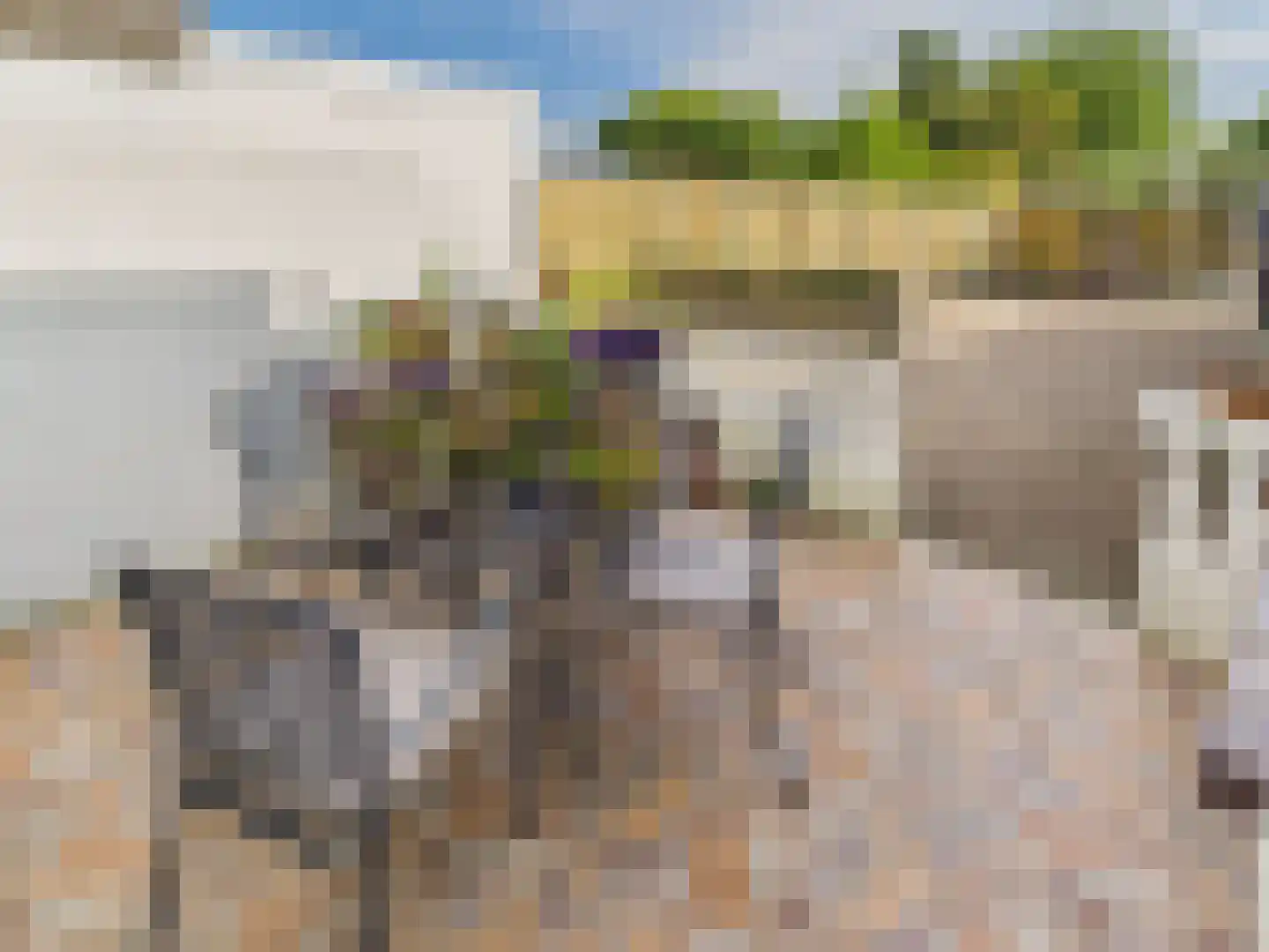 Oosterstraat 21 Dinteloord thumbnail 23
