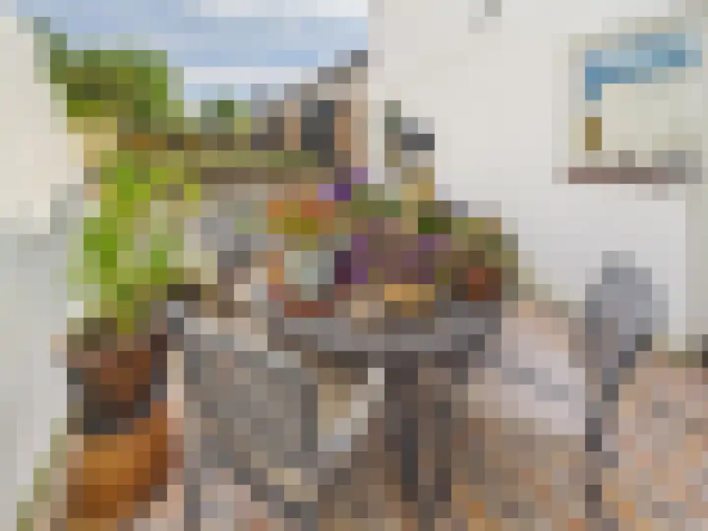 Oosterstraat 21 Dinteloord thumbnail 24