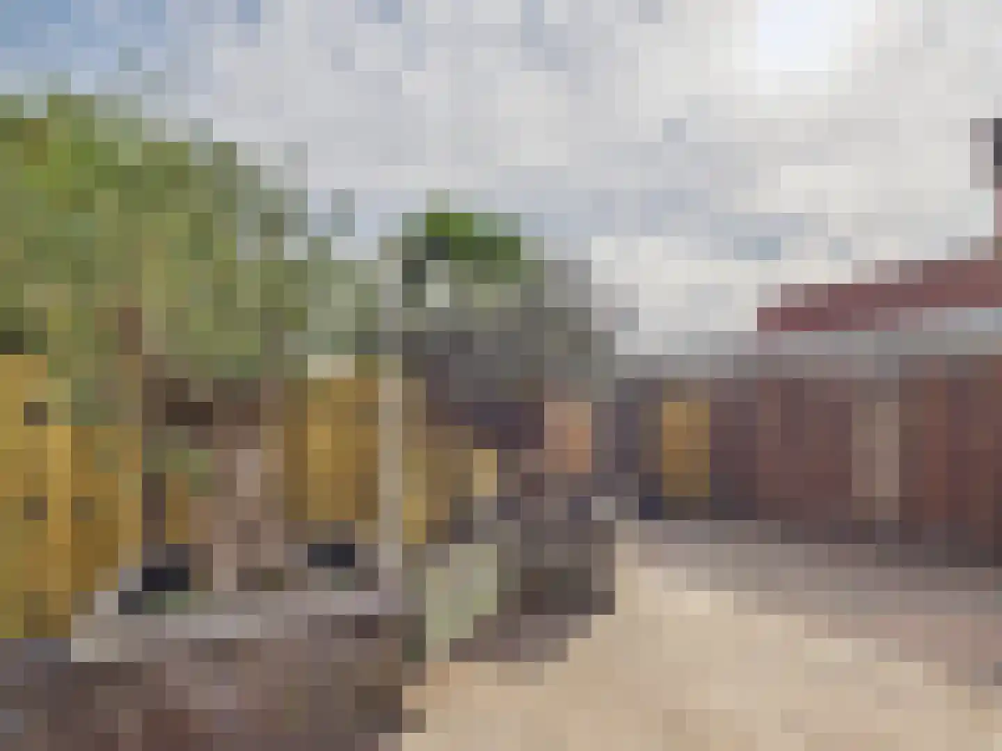 Oosterstraat 21 Dinteloord thumbnail 27