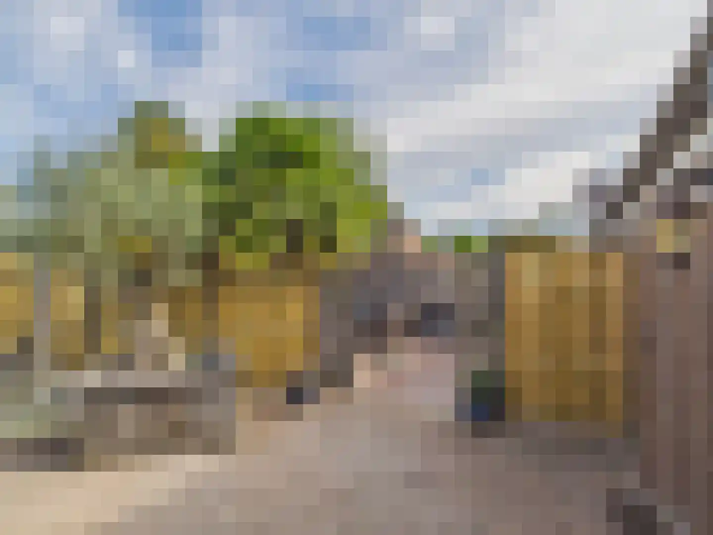 Oosterstraat 21 Dinteloord thumbnail 28
