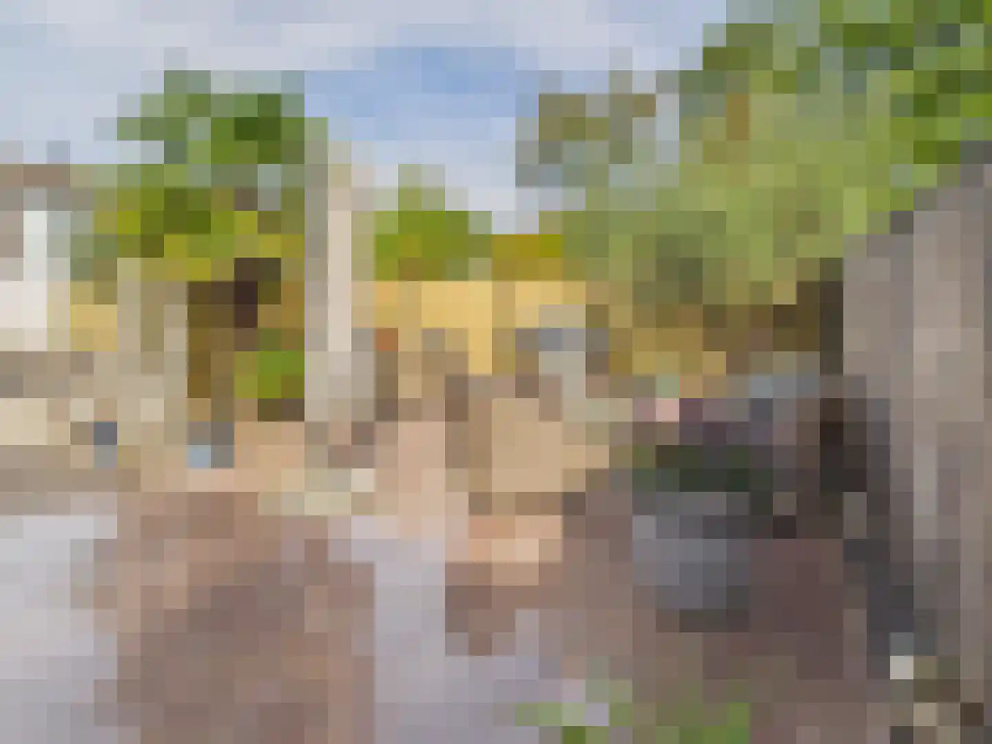 Oosterstraat 21 Dinteloord thumbnail 30