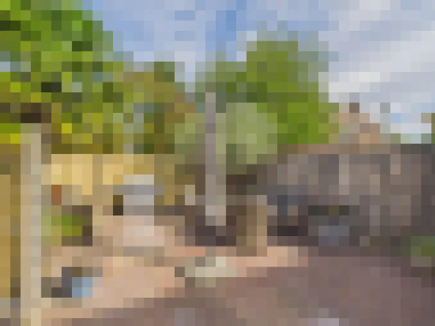 Oosterstraat 21 Dinteloord thumbnail 31