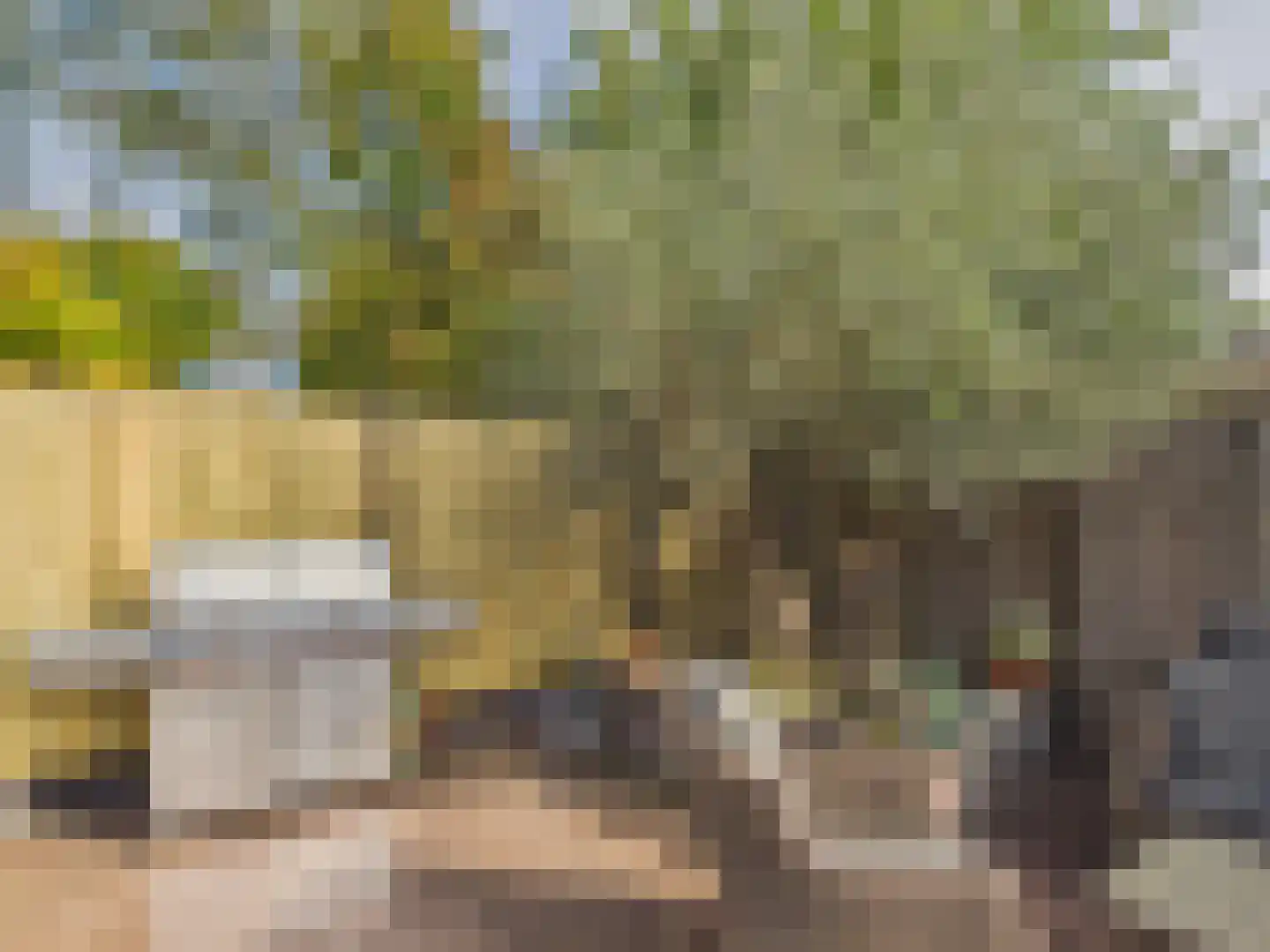 Oosterstraat 21 Dinteloord thumbnail 32