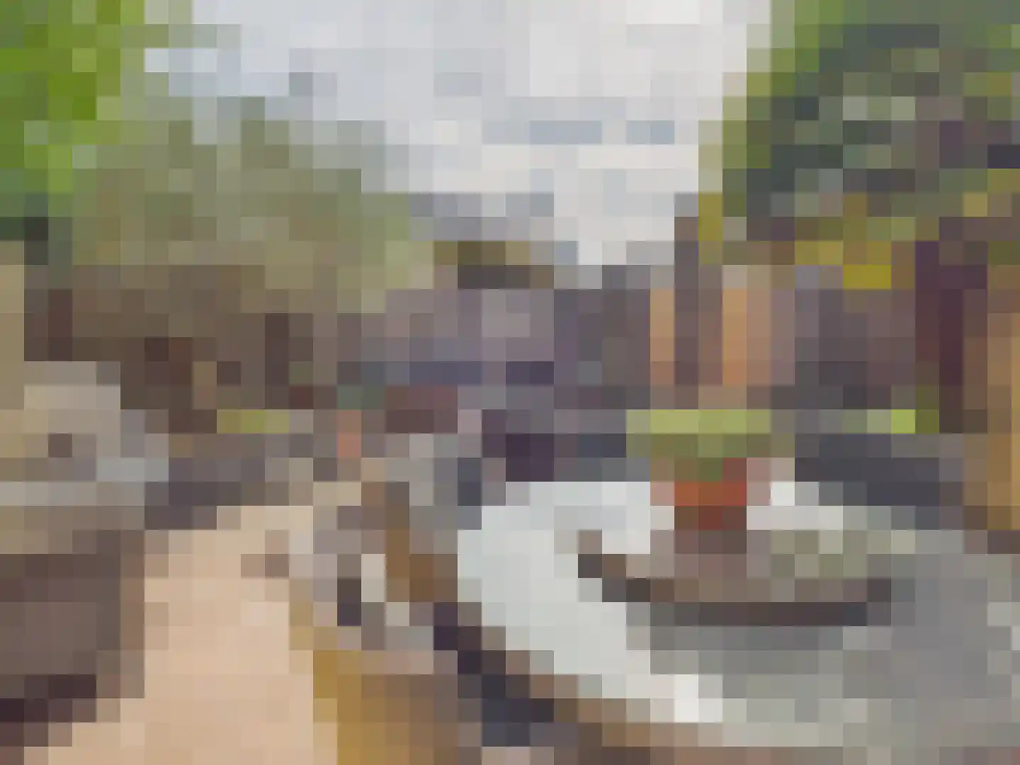 Oosterstraat 21 Dinteloord thumbnail 33