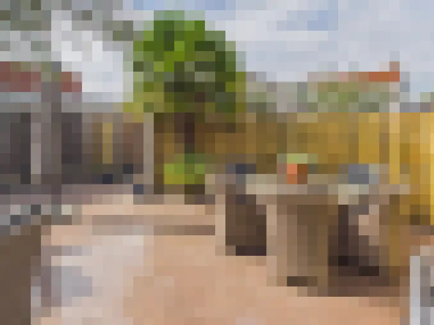 Oosterstraat 21 Dinteloord thumbnail 34