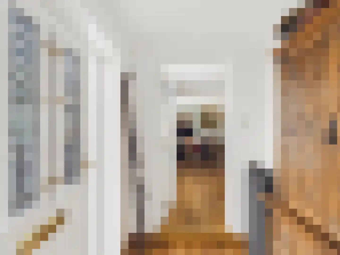 Oosterstraat 21 Dinteloord thumbnail 39
