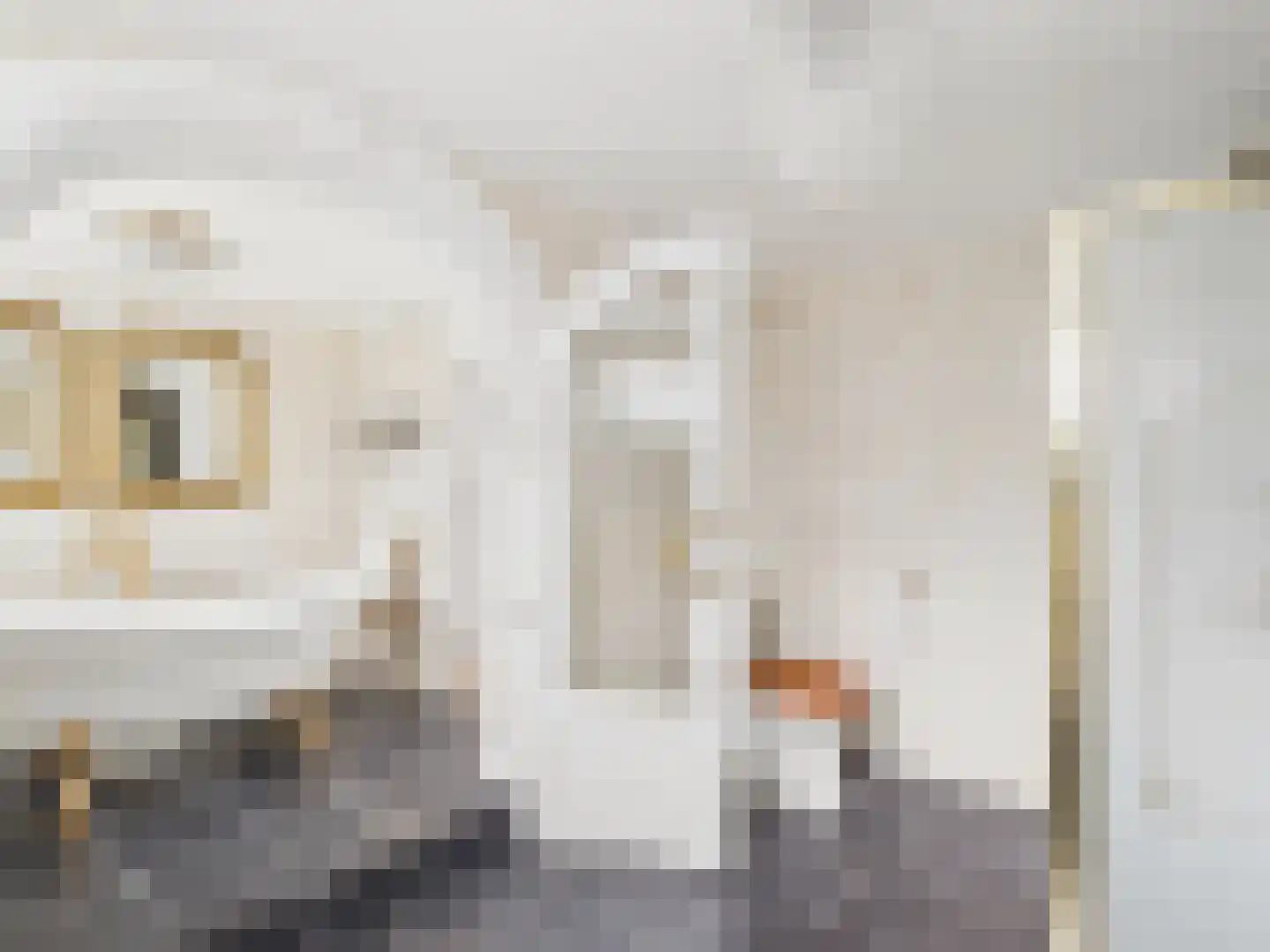 Oosterstraat 21 Dinteloord thumbnail 4